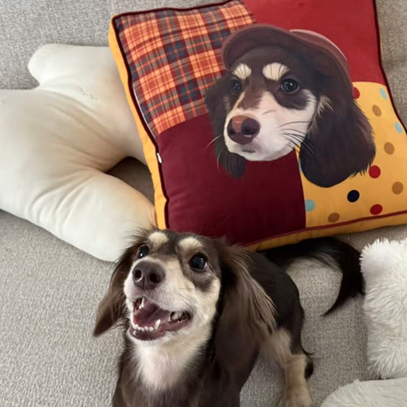 PHABULS Custom Pet Pillow with Insert, Hand-Drawn Portrait