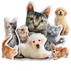 Custom Pet Pillow from Photo, Double-Sided 3D Shaped Picture Plush Animal
