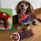 PHABULS Custom Pet Face Seat Belt Cover, 3D Plush Car Accessory